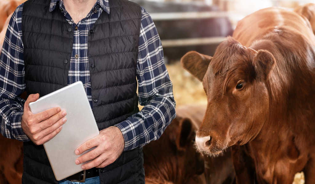 Smart Farming : Soutien aux producteurs laitiers, climat & bien-être animal