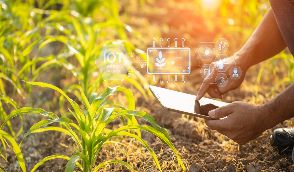 Smart Watering et gestion intelligente de l’irrigation pour les coopératives agricoles